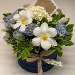 BOX FLORAL AZUL TAM G - FLORES NOBRES